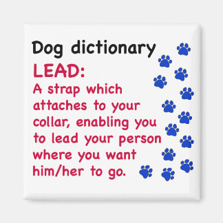 Aimant Dictionnaire de chien de tête