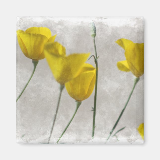 Aimant Digital Watercolor Yellow California Poppies Magne (Devant)