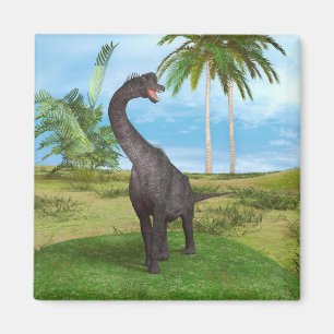 Aimant Dinosaure Brachiosaurus