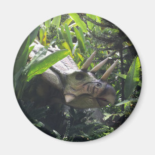Aimant Dinosaure dans le sauvage