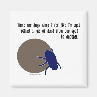 Aimant d'insecte drôle