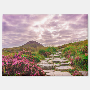 aimant d'Irlande panoramique