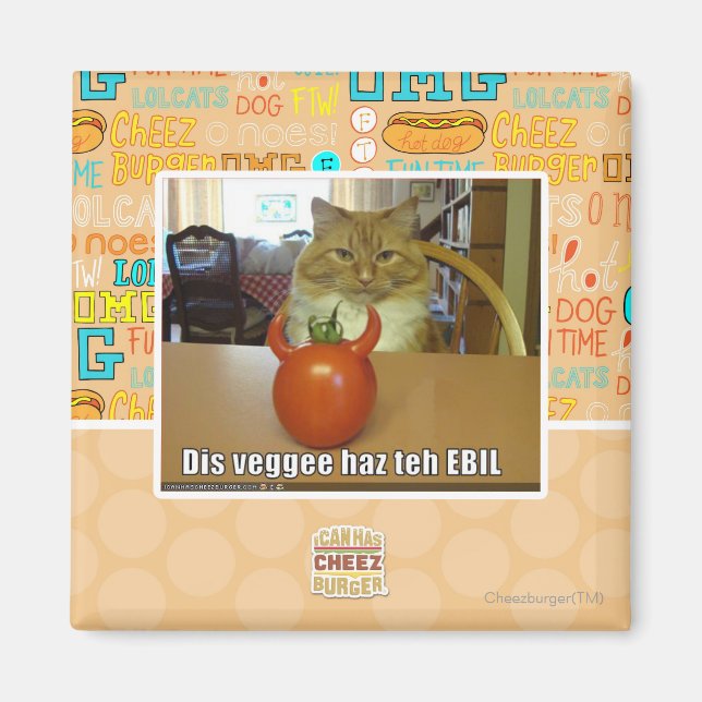Aimant Dis veggee haz l'EBIL (Devant)