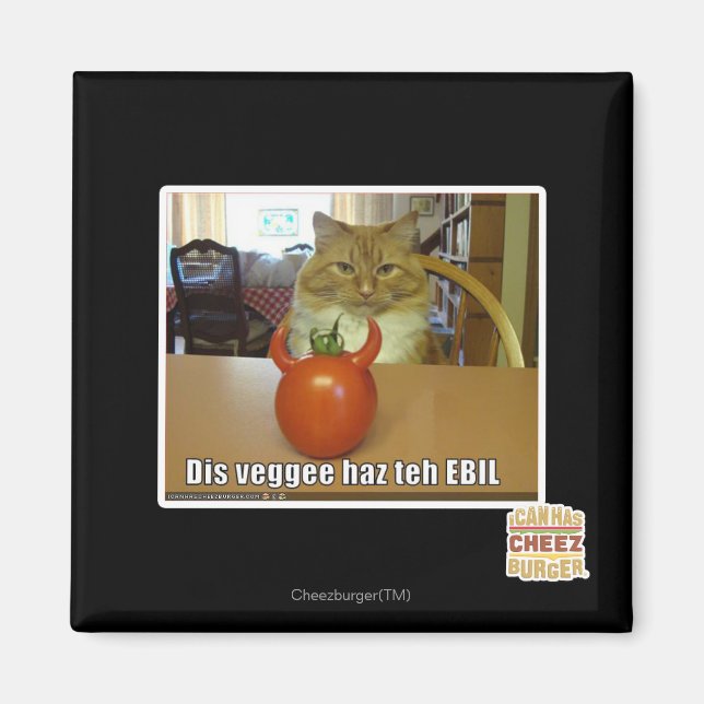 Aimant Dis veggee haz l'EBIL (Devant)