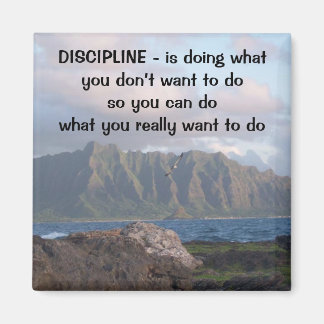 Aimant Discipline