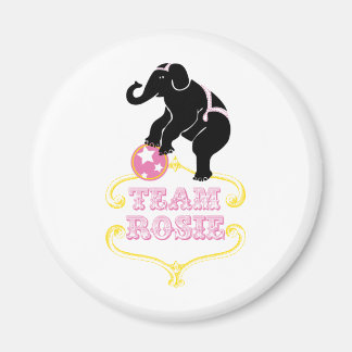 Aimant disposition_teamrosie