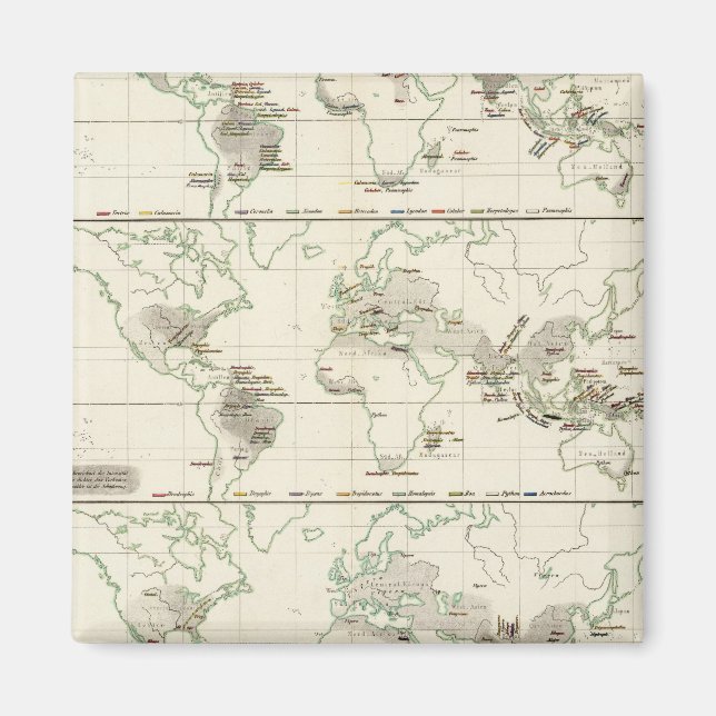 Aimant Distributions de serpents (Devant)