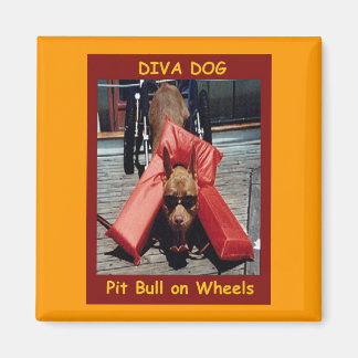 Aimant DIVA DOG' Réfrigérateur magnétique