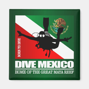 Aimant Dive Mexico DF2