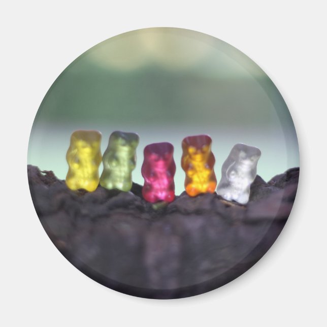 Aimant Diversité colorée Ours de gomme Photographie (Devant)