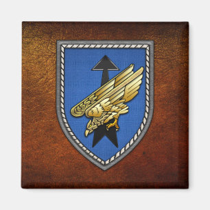 Aimant Division Spezielle Opationen [DSO]