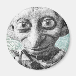Aimant Dobby 4