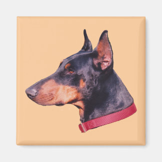 Aimant Doberman Pinscher Chien