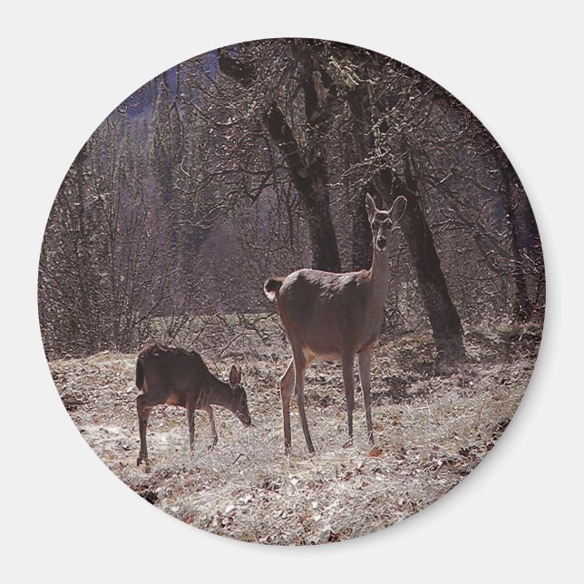Aimant Doe et fawn.... (Devant)