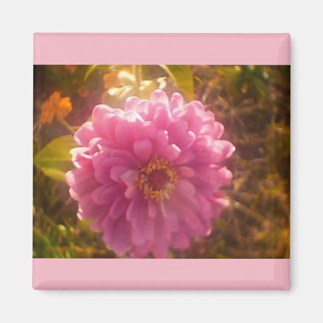 Aimant d'oeillet à fleurs d'été (Devant)
