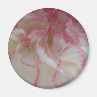 Aimant d'oeillet blanc et rose