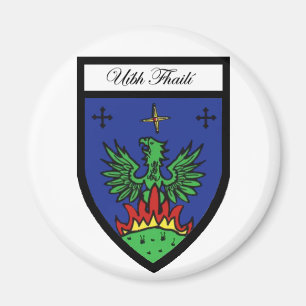 Aimant d'Offaly du comté