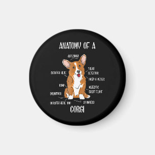 Aimant Dog Anatomy , Cute Welsh Corgi Cadeau De Biologie 