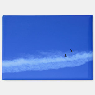 Aimant d'oie volante