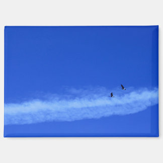 Aimant d'oie volante