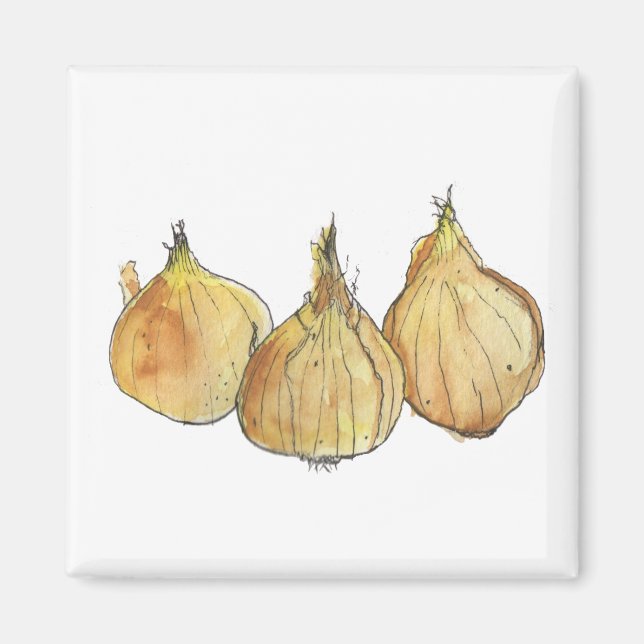 Aimant d'oignon (Devant)