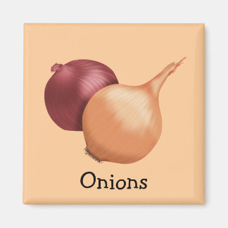 Aimant d'oignons