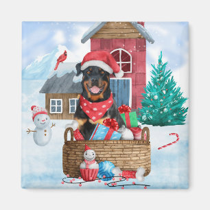 Aimant Doigt Rottweiler dans la neige Maison de Chien de