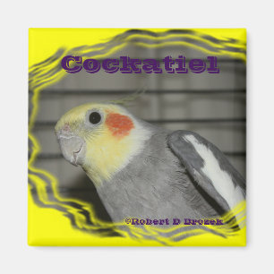 AIMANT d'oiseau d'animal familier de Cockatiel