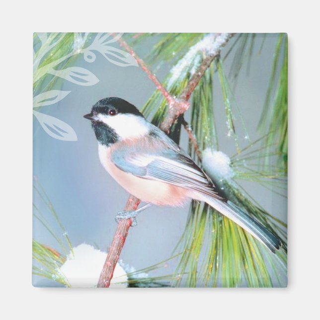 Aimant d'oiseaux d'hiver (Devant)