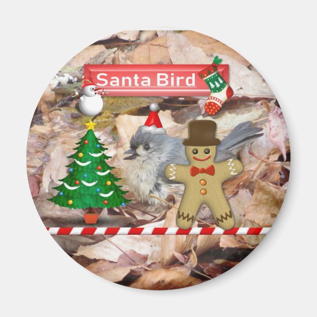 Aimant d'oiseaux du Père Noël (Devant)