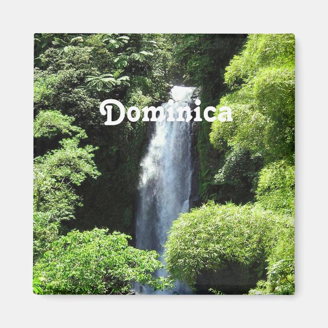 Aimant Dominique (Devant)