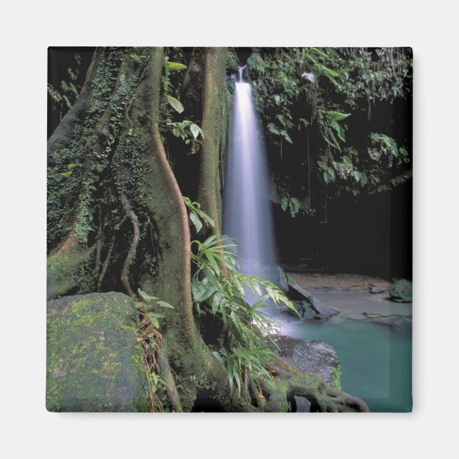 Aimant Dominique, Piscine d'émeraude, Cascade. (Devant)