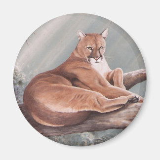 Aimant Don Corle-cougar