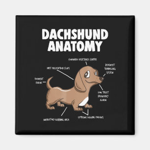 Aimant Don de chien   Anatomie Dachshund Funny Weiner