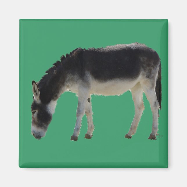 Aimant Donkey chéri sur vert - Amoureux des animaux (Devant)