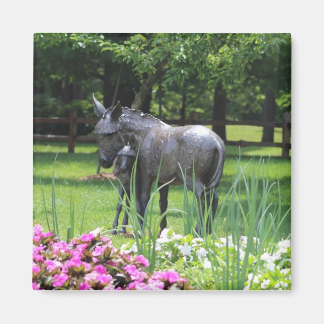 Aimant Donkey in Garden (Devant)