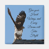 Donnez à vos ailes de coeur une photo Hawk inspira