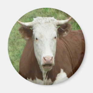 Aimant Donnez-leur l'oiseau pour l'action de grâces