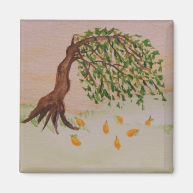 Aimant d'or après-midi (Devant)