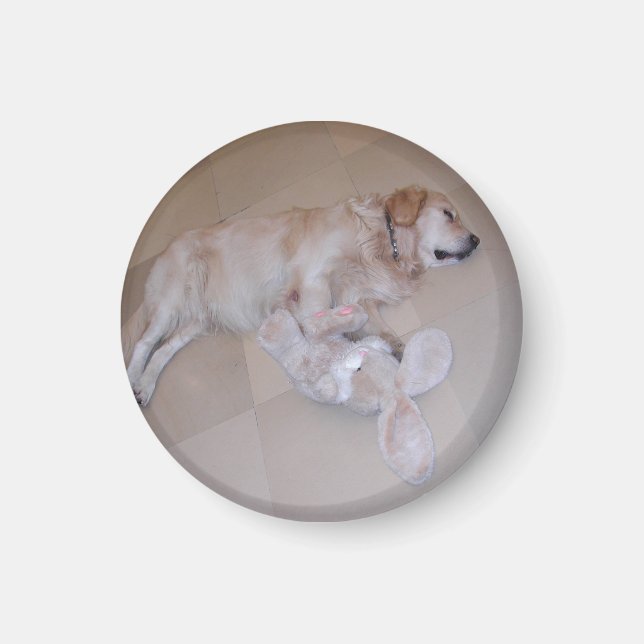 Aimant Dormant Golden Retriever (Devant)