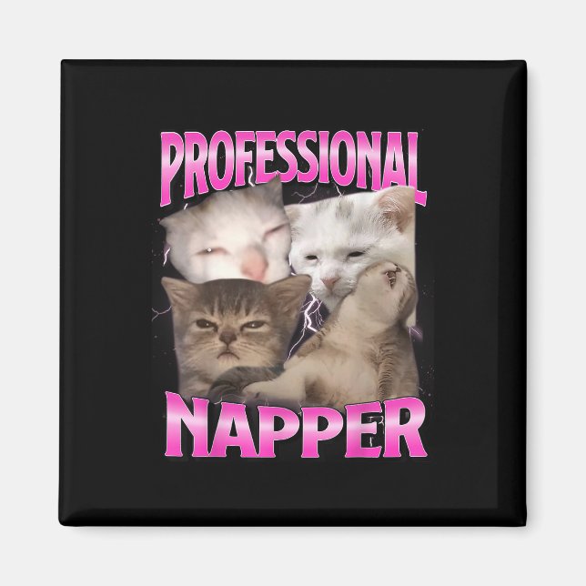 Aimant Dormeuse Professionnelle Chat Drôle Endormi Chats  (Devant)