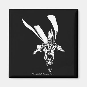 Aimant Dr Fate Flying Outline