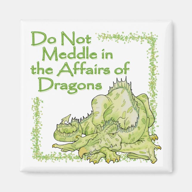 AIMANT DRAGON (Devant)