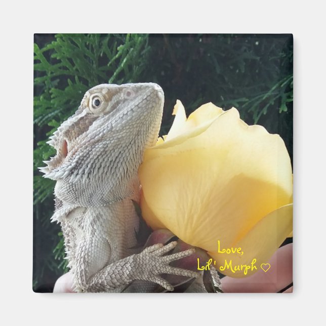 Aimant Dragon à oreilles et Rose jaune (Devant)