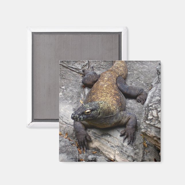 Aimant Dragon de Komodo sur pierre chaude (Recto/Verso)