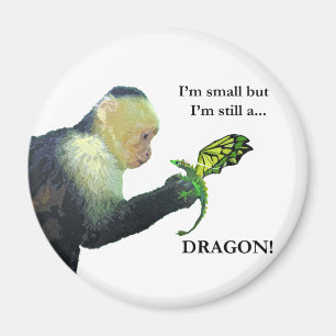 Aimant Dragon et singe