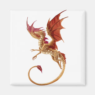 Aimant dragon volant
