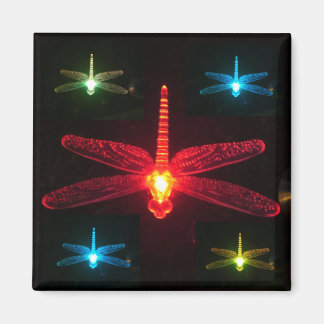 Aimant Dragonflies
