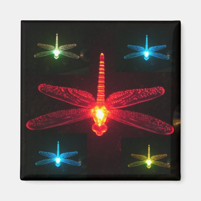 Aimant Dragonflies (Devant)