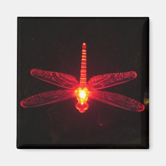 Aimant Dragonfly